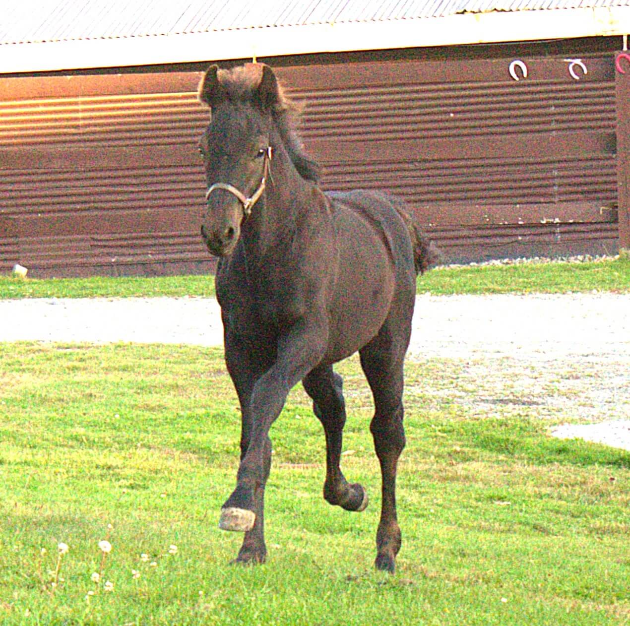 462174019_1081500407311800_1366897618914580785_n